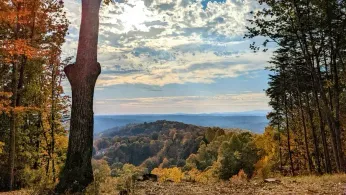 Discovering Dahlonega, Georgia: An Emerging Queer Haven in the Foothills of Appalachia